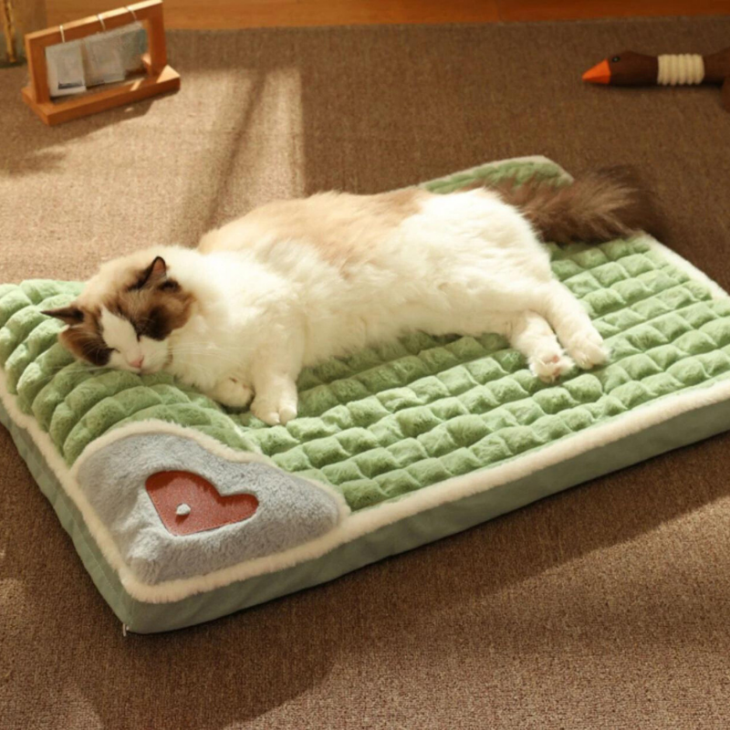 Green Calming Pillow Orthopedic Dog & Cat Bed